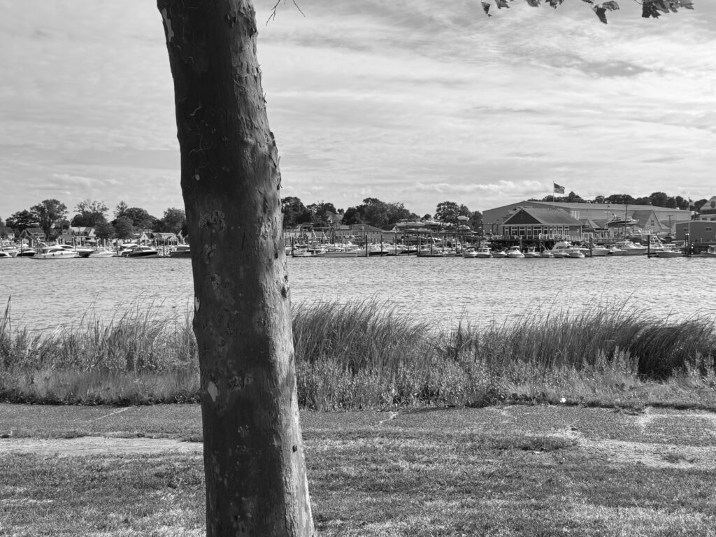 Nostalgia, photo by Lara Daglioglu, Submission ID: 2625, Honorable mention Black & White Image representing SoNo.